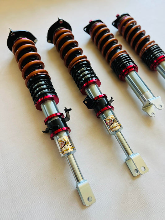 Thunder Lane Track Performance 1-way Adjustable Custom Spec Coilover Kit for SN-95 Mustang